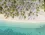 Catalonia Bavaro Beach & Golf Resort