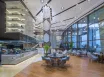 Hyatt Andaz Dubai The Palm