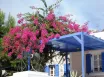 Hotel Paradise Resort
