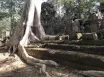 Vietnam - Kambodža
