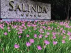Salinda Resort Phu Quoc