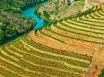 Porto plnými dúškami