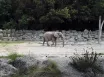 Schönbrunn Zoo a Zámok