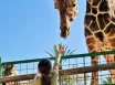 Legoland a ZOO Hellabrunn