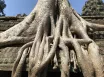 Vietnam - Kambodža