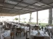 The Ixian Grand & Ixian All Suites