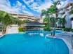 Bougainvillea Barbados