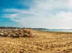 OA Salinas Sea