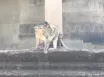 Vietnam - Kambodža