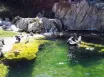 Schönbrunn Zoo a Zámok
