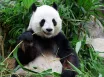 Schönbrunn Zoo a Zámok
