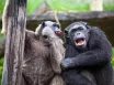 Legoland a ZOO Hellabrunn