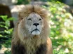 Legoland a ZOO Hellabrunn