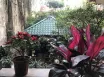 Vietnam - Kambodža